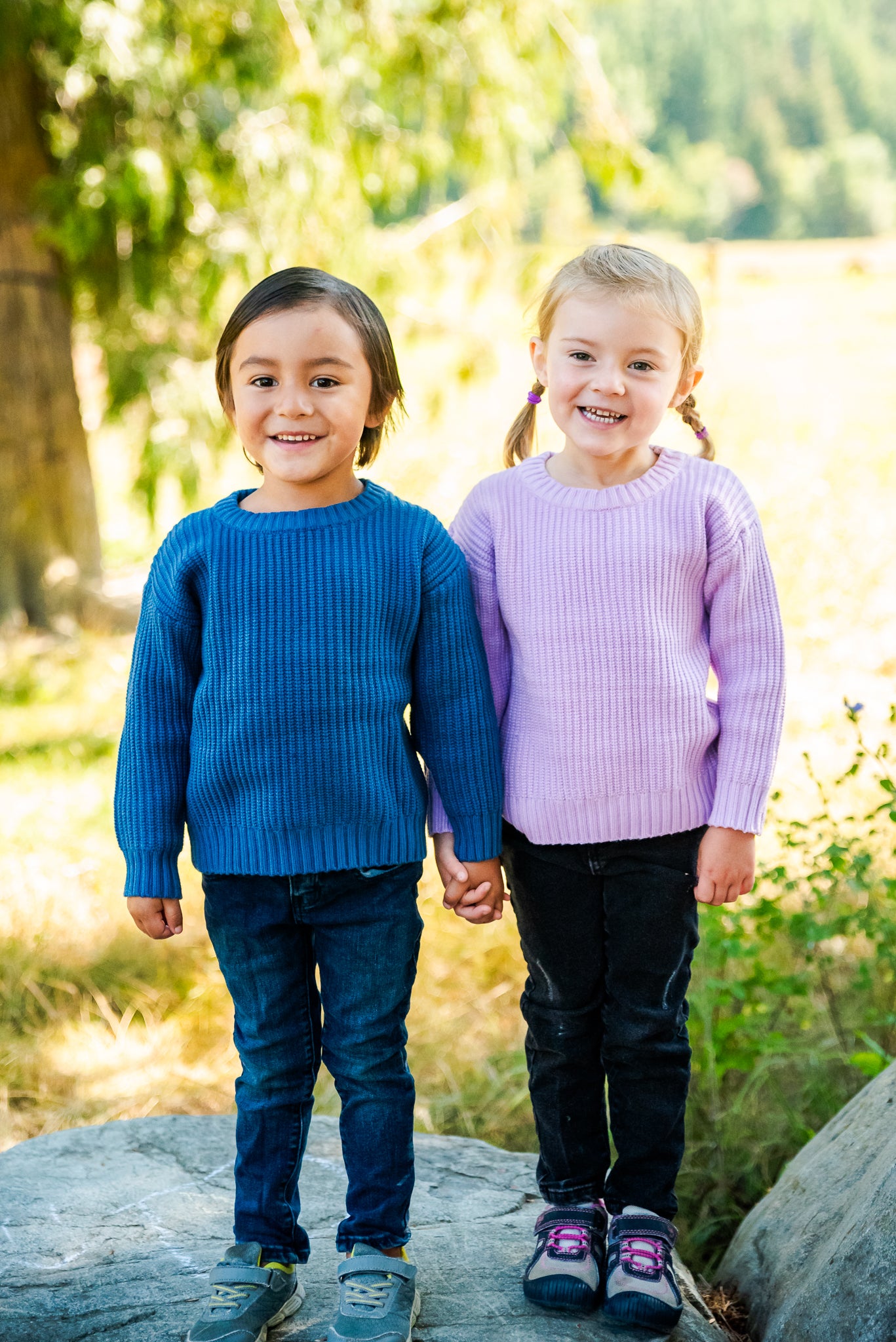 Sweater- Lavender