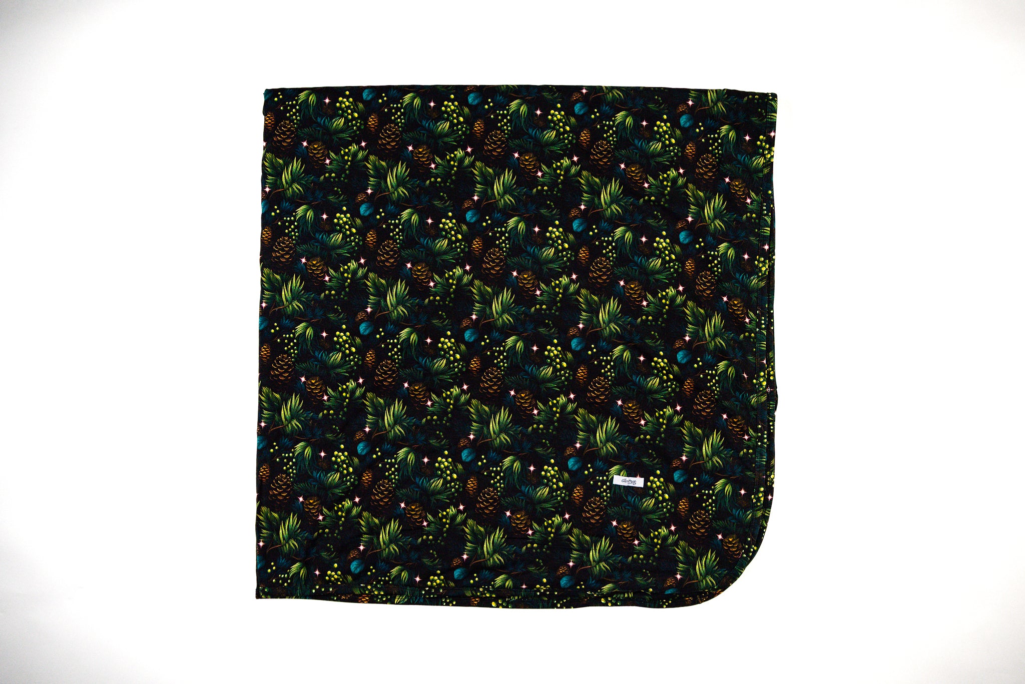 Minky Shimmer Blanket