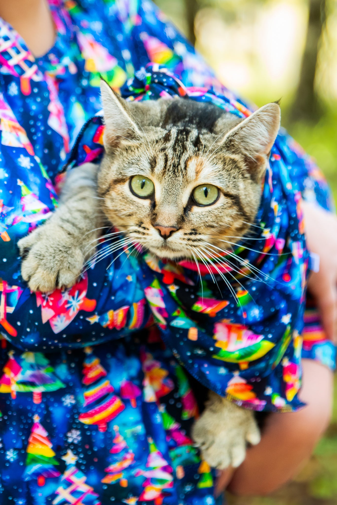 Pet Bandana