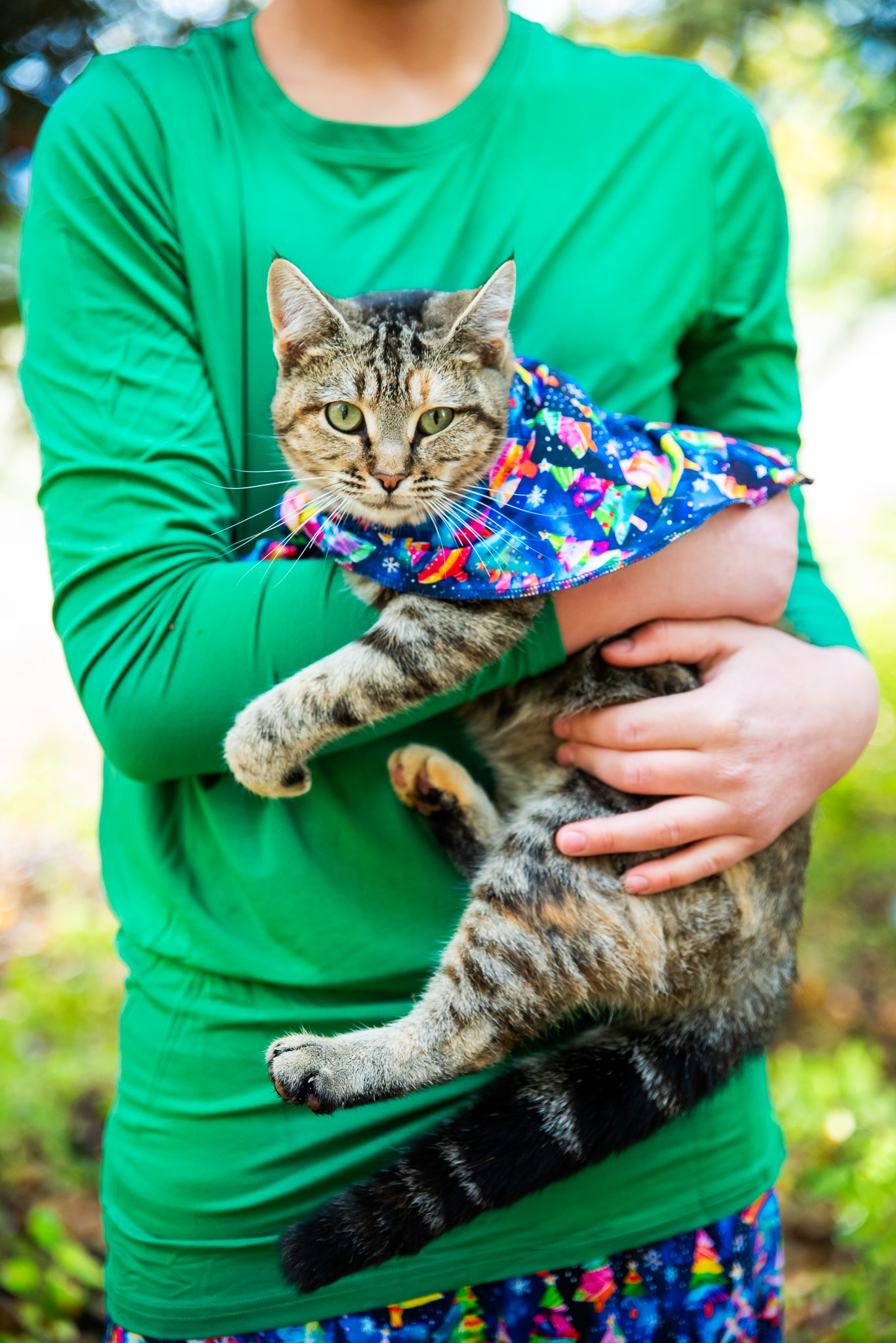 Pet Bandana