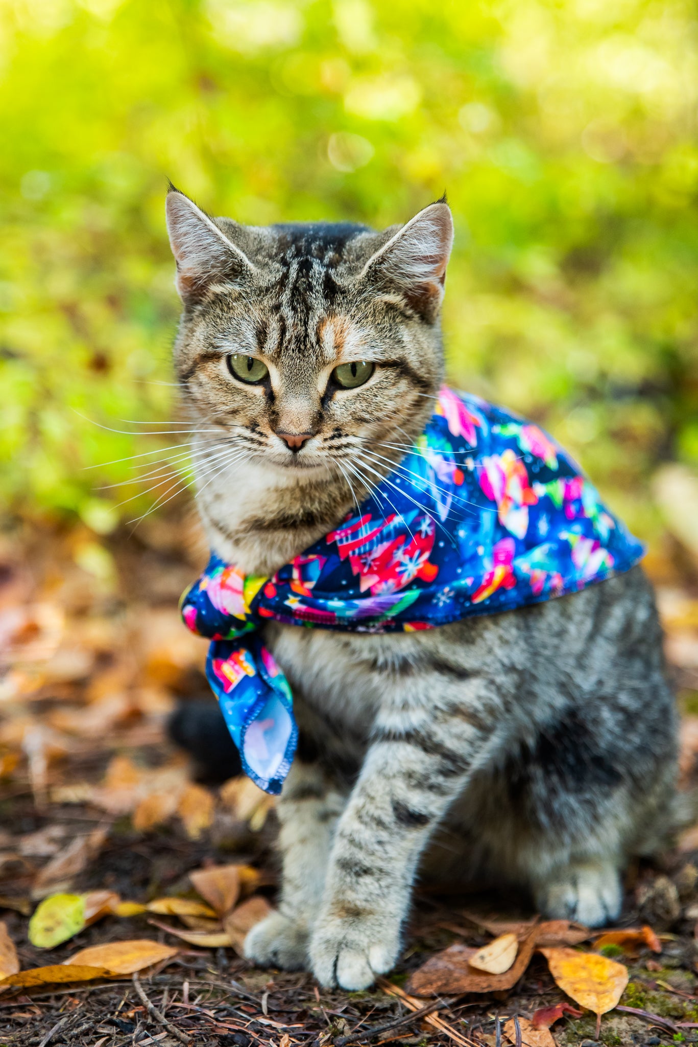 Pet Bandana