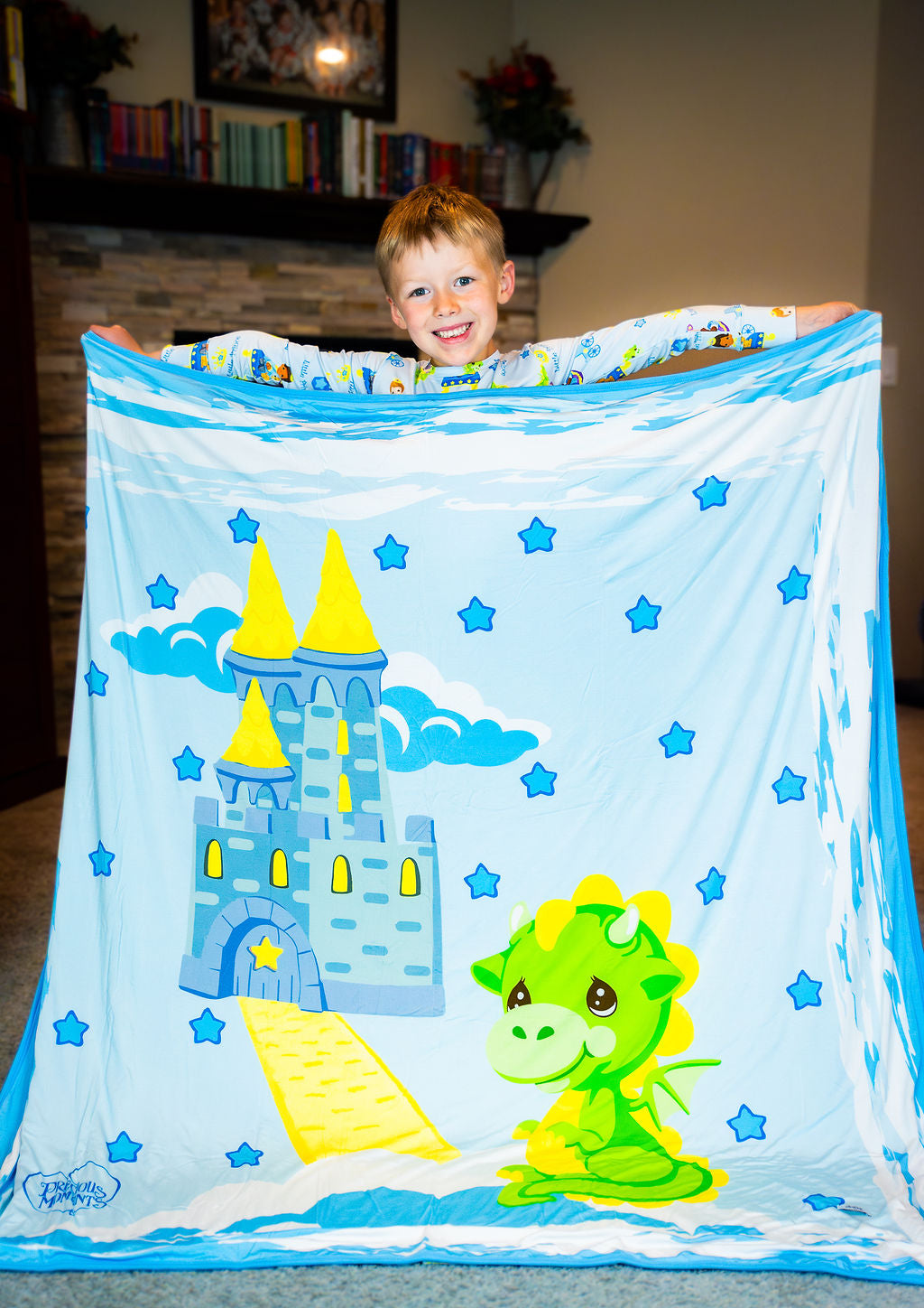 Shimmer LUXE- Triple Layer Blanket