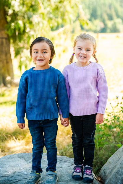 Sweater- Lavender
