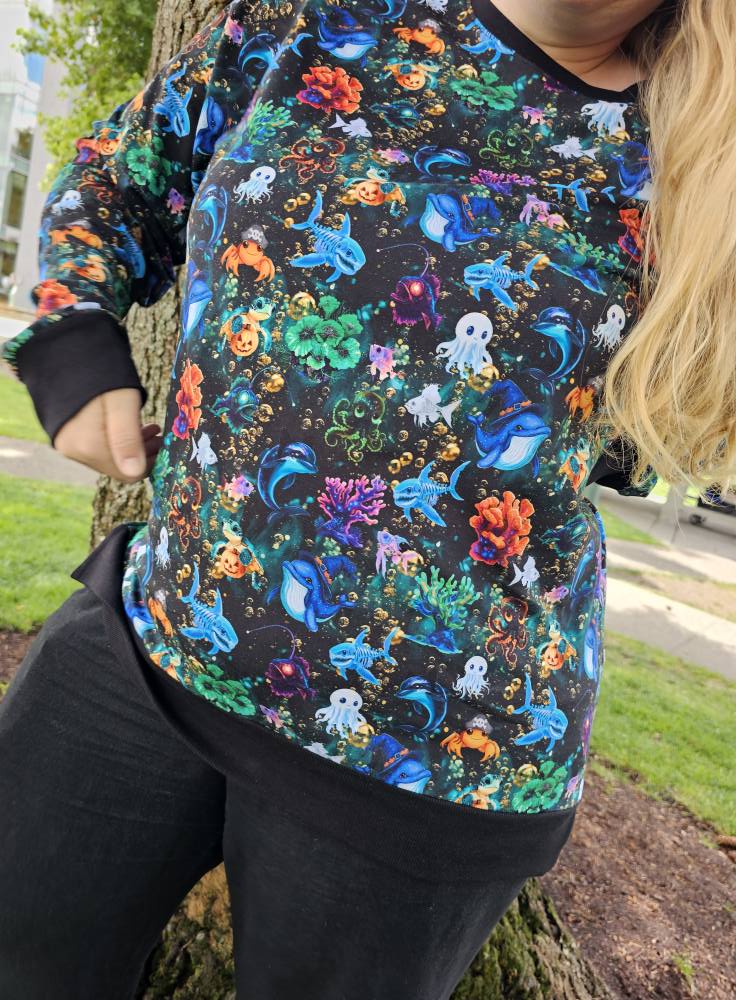 Adult Sweatshirt