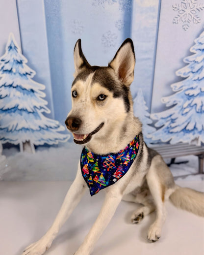 Pet Bandana
